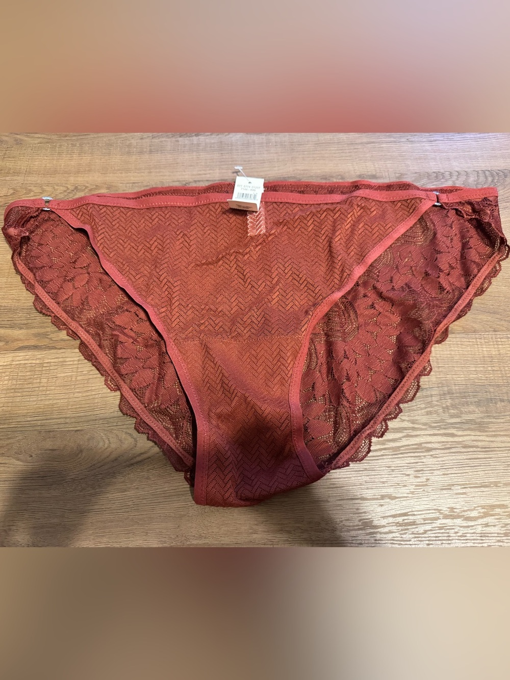 aerie Lace-Trim Bikini Panty in Rust